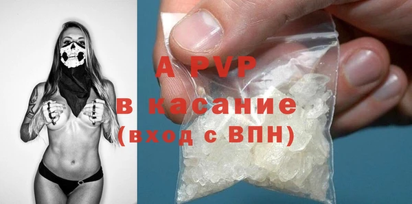 сатива Белокуриха