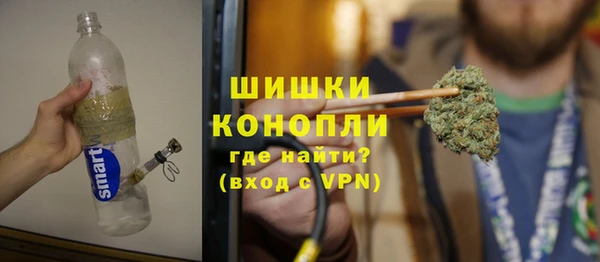 сатива Белокуриха