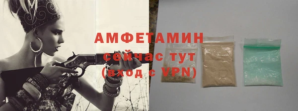 сатива Белокуриха