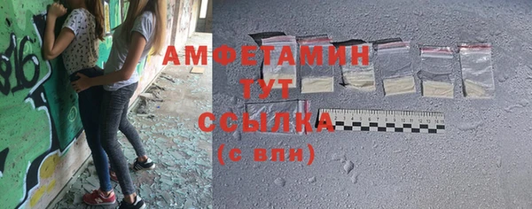 шишки Ладушкин