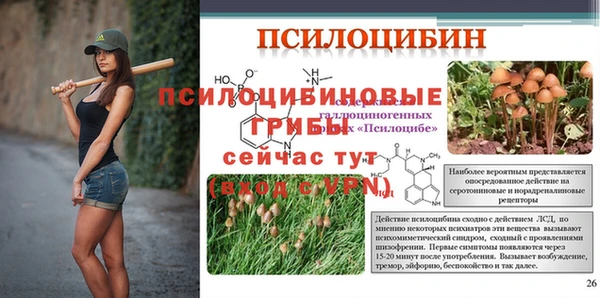 PSILOCYBIN Баксан