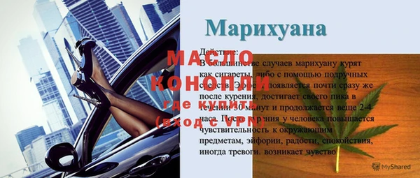 индика Балахна