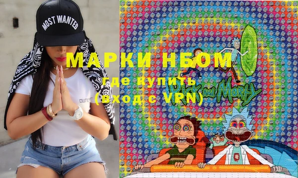 сатива Белокуриха
