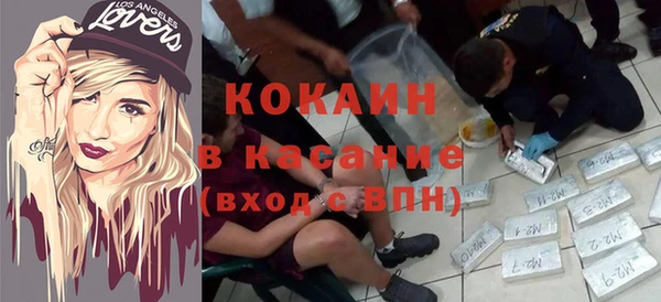 сатива Белокуриха