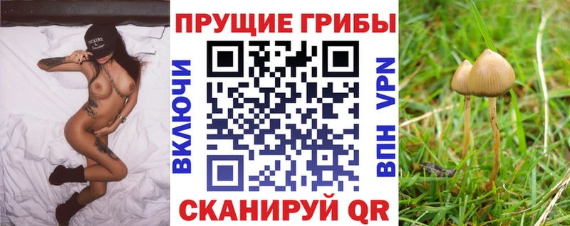 Галлюциногенные грибы Magic Shrooms  Козельск 